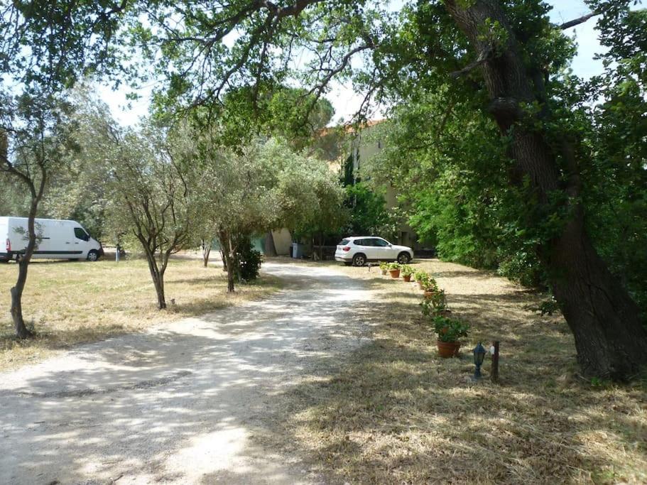 Duplex 130M2 Dans Un Mas Entoure De Vergers - Piscine Saint-Feliu-d'Avall Exteriör bild