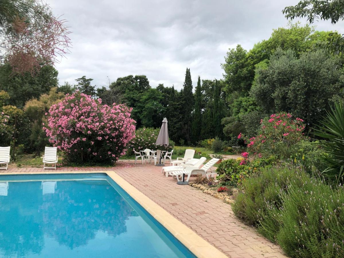 Duplex 130M2 Dans Un Mas Entoure De Vergers - Piscine Saint-Feliu-d'Avall Exteriör bild