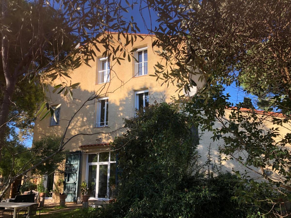 Duplex 130M2 Dans Un Mas Entoure De Vergers - Piscine Saint-Feliu-d'Avall Exteriör bild
