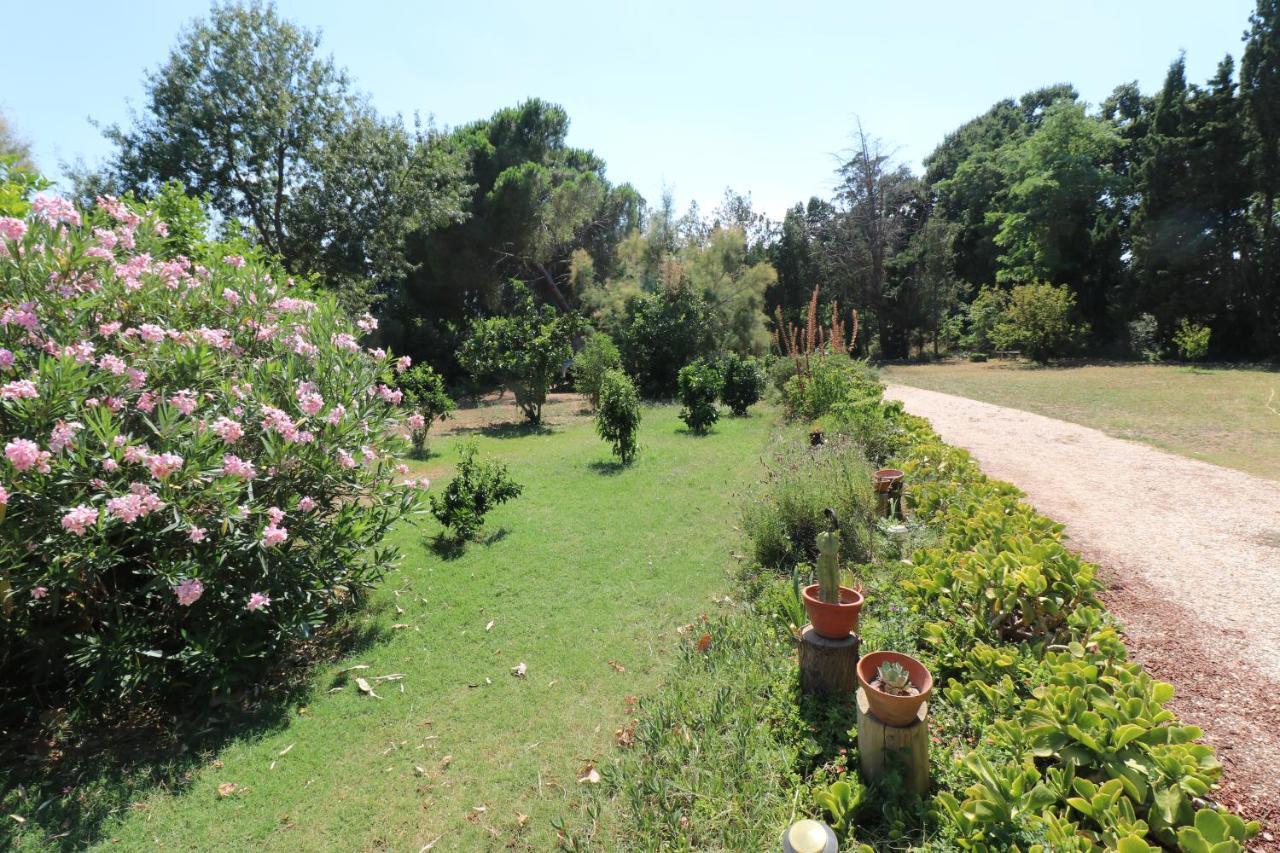 Duplex 130M2 Dans Un Mas Entoure De Vergers - Piscine Saint-Feliu-d'Avall Exteriör bild